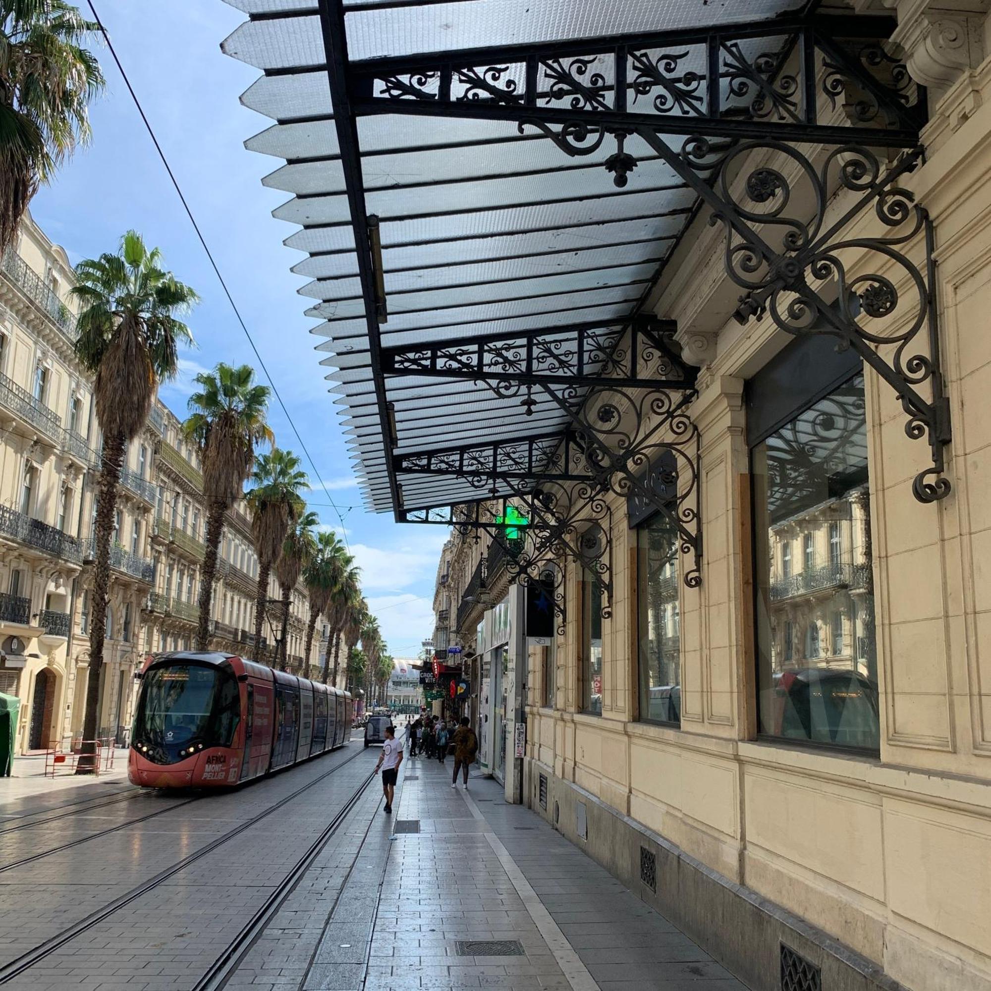 Home Chic Home - Les Toits De Sainte-Ursule Montpellier Eksteriør billede